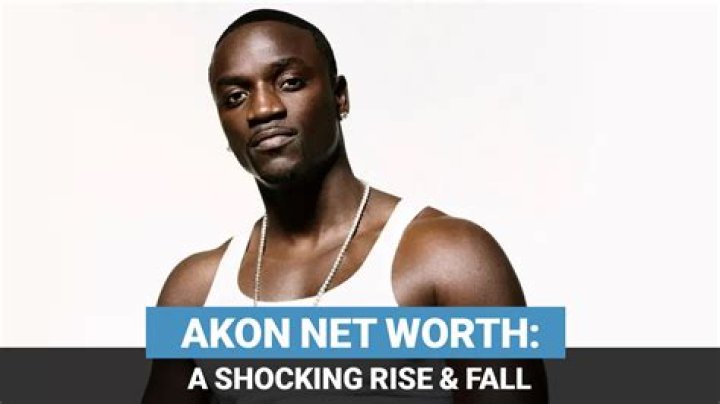 Akon net worth, income and estimated earnings of Youtuber channel