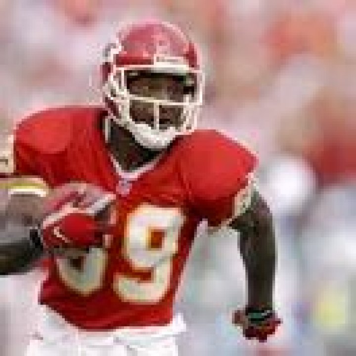 Andre Johnson Net Worth | Celebrity Net Worth