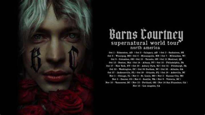 Barns Courtney - Bio, Age, Wiki, Facts and Family