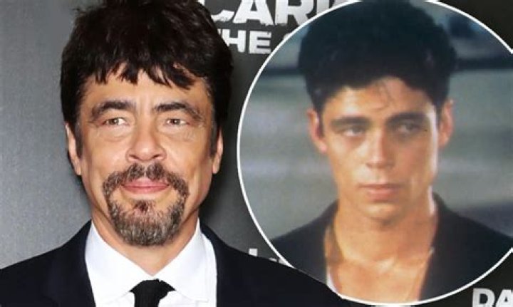 Benicio Del Toro (movieactor) Wiki,Age,Birthday,Biography,Height,Net Worth ..