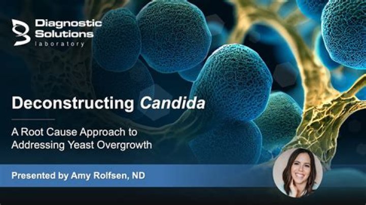 Candida Diet – Remove Candida Syndrome and Acquire a Healthy Body