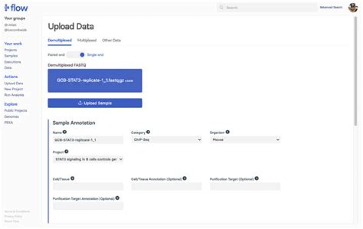 Dani M Flow - Bio, Age, Wiki, Facts and Family