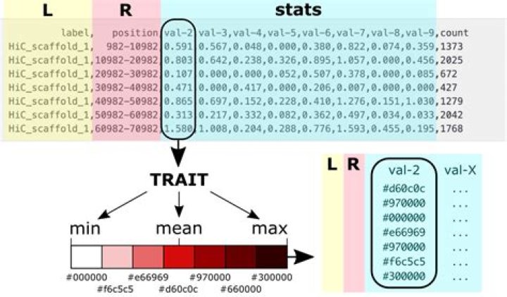 Darien Dash - Bio, Age, Wiki, Facts and Family