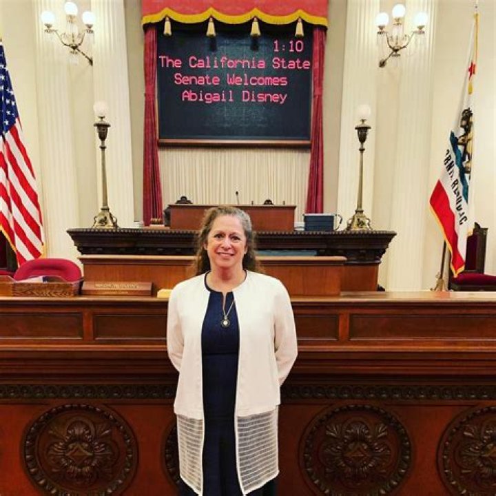 Disney Heiress Abigail Disney Calls For Getting Rid Of Private Jets, A Wealth Tax