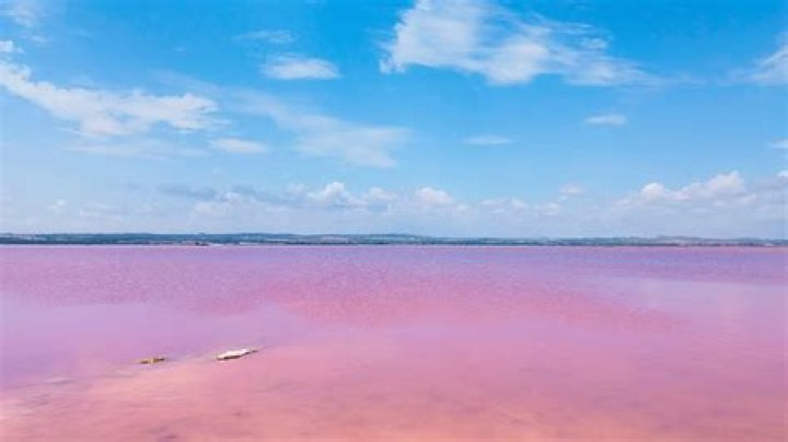 Felix Biernat - Bio, Age, Wiki, Facts and Family