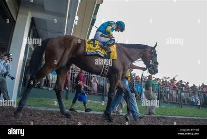 From Beer To Horses: The Story Of Ahmed Zayat - Owner Of Triple Crown Winner American Pharoah