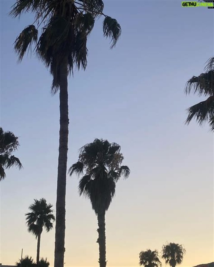 Greta Menchi - Bio, Age, Wiki, Facts and Family