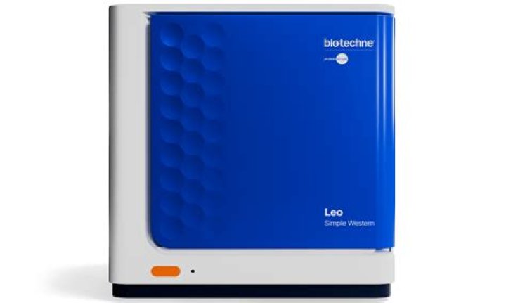 Melissa Leo - Bio, Age, Wiki, Facts and Family