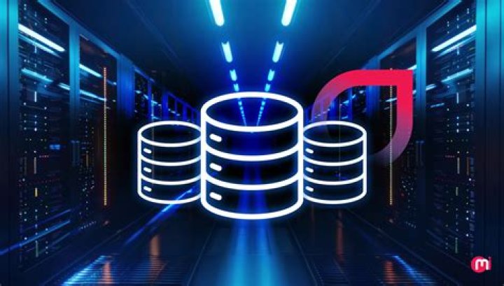 #Mind Warehouse video statistics