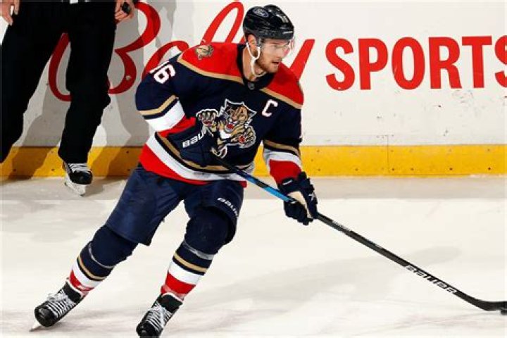 NHL Player Aleksander Barkov Jr. bio, Salary, Net worth, Career Highlights, personal life, girlfriend, Wife, affair, Facts