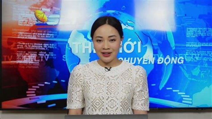 Saigon Entertainment Television video statistics