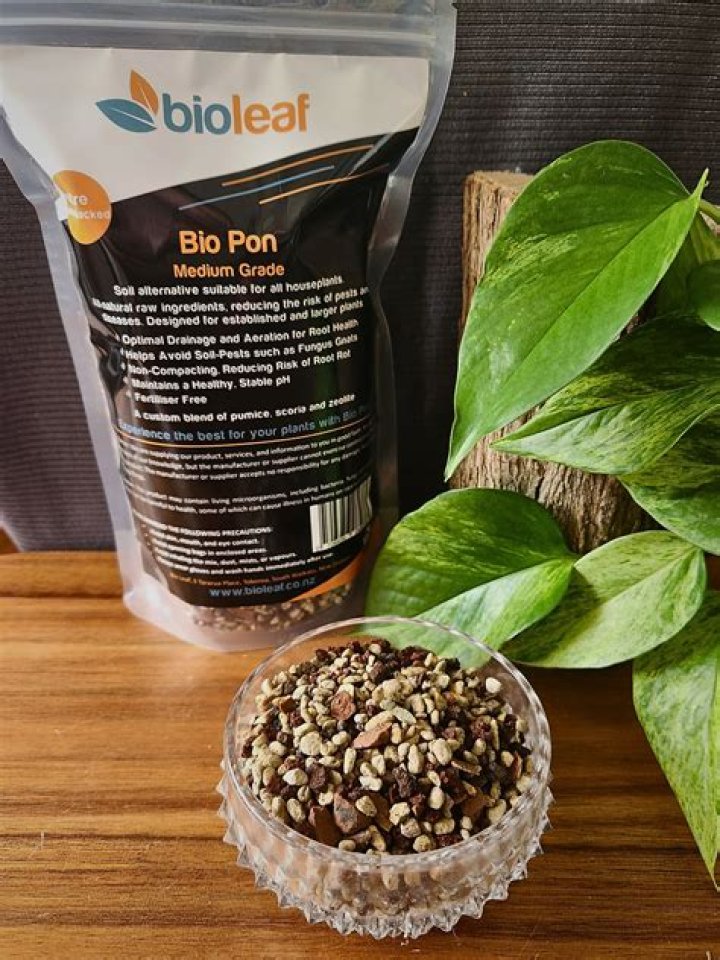 Tinto Brass - Bio, Age, Wiki, Facts and Family