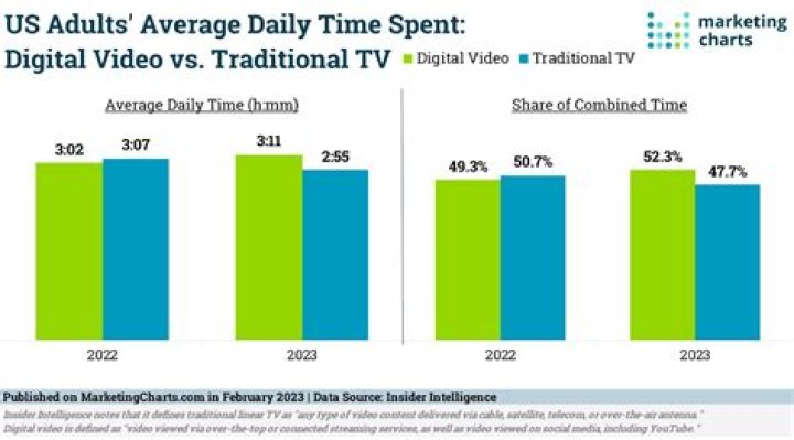 VegasLowRoller video statistics
