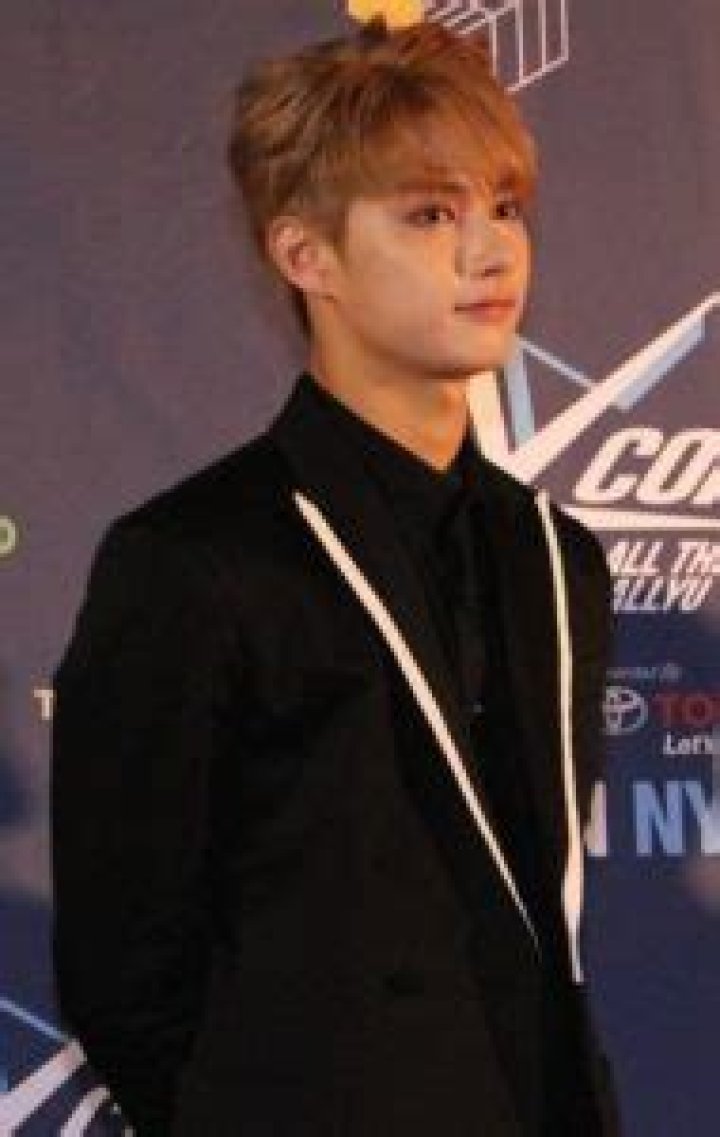 Wen Junhui Height, Weight, Age, Family, Biography