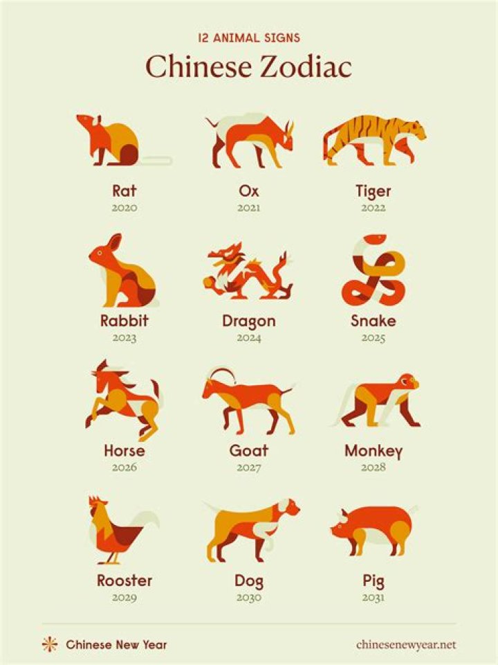 What Is My Chinese Zodiac Sign? A Complete Guide to Your Animal