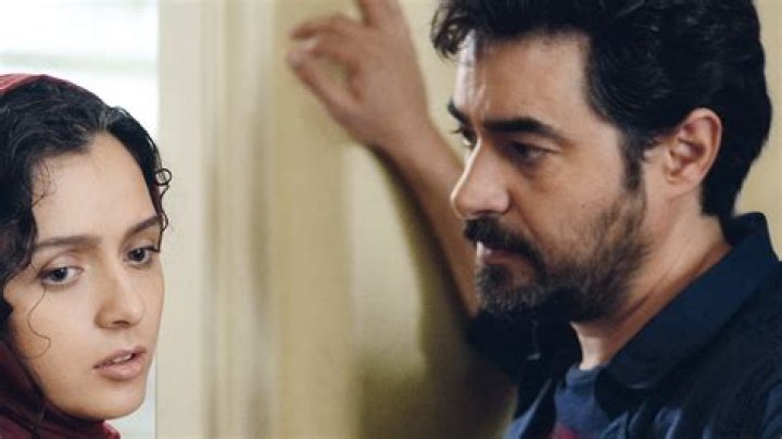 Who is Shahab Hosseini Dating Now